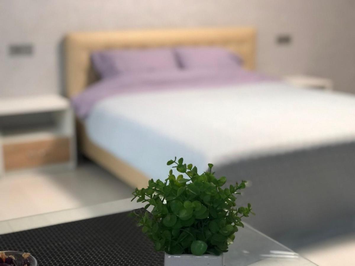 Apartcenter Апартаменты Lux В Центре Ярослава Мудрого كريفوي روغ المظهر الخارجي الصورة